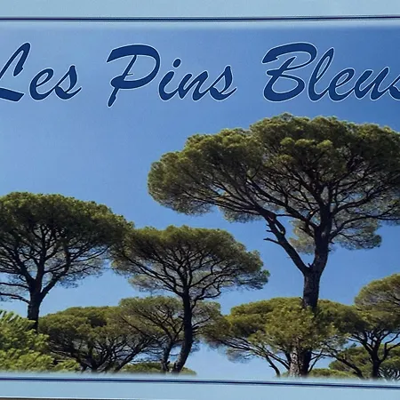 Daire Les Pins Bleus By Interhome